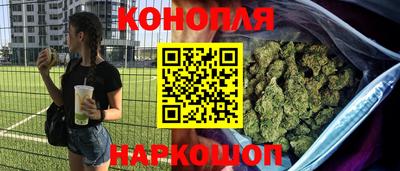 крисы Коммунар