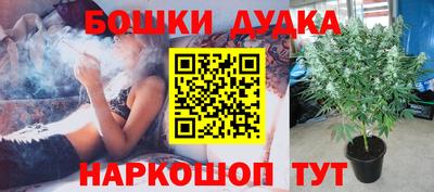 крисы Коммунар