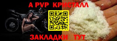 крисы Коммунар